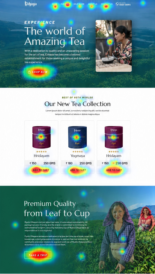 Tea Brand Homepage Heatmap Analysis - Search Engine Optimization